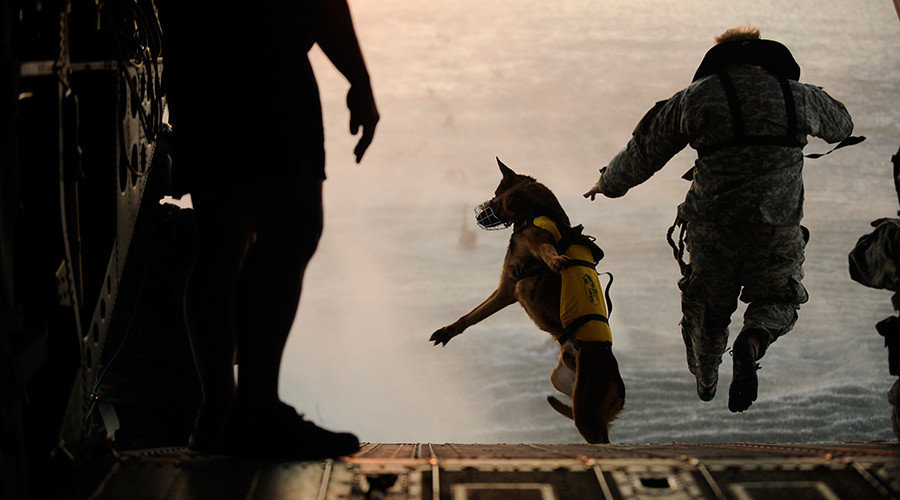 Task force to hunt terrorists worldwide