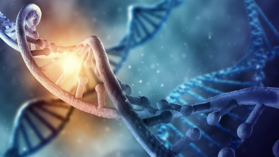 Click to enlarge DNA chromosome