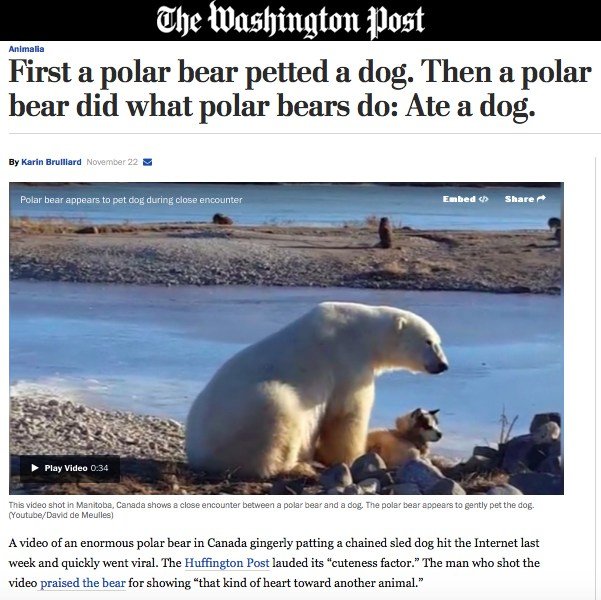 Click to enlarge fake news