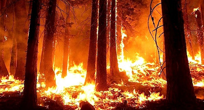 Click to enlarge Latakia burning
