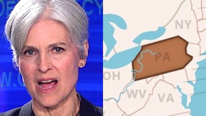 Stein