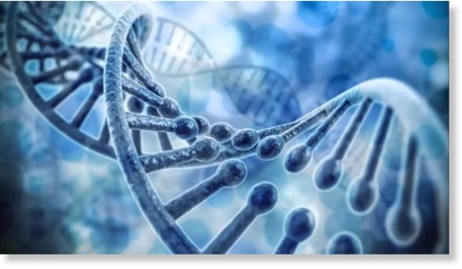 Viral DNA