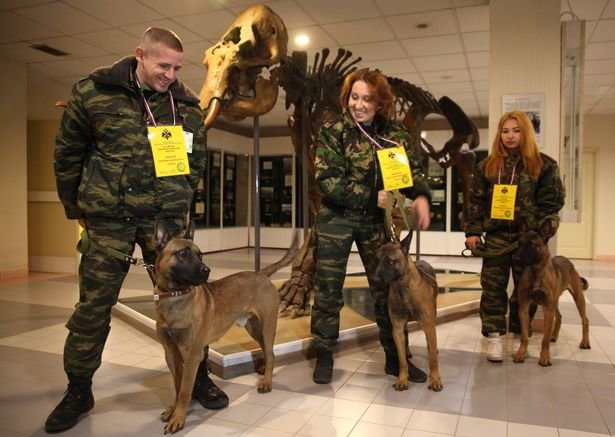 cloned sniffer dogs