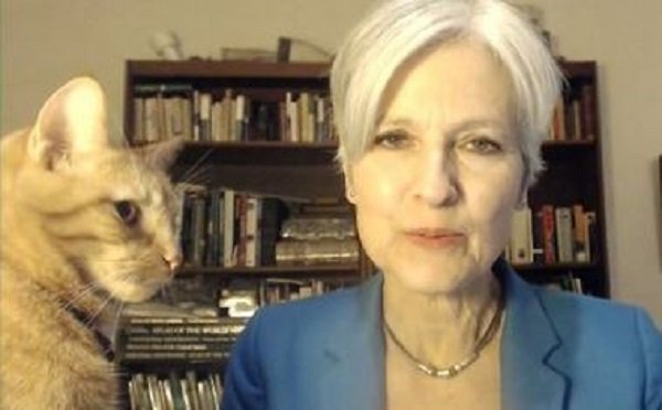 Click to enlarge Jill Stein with cat
