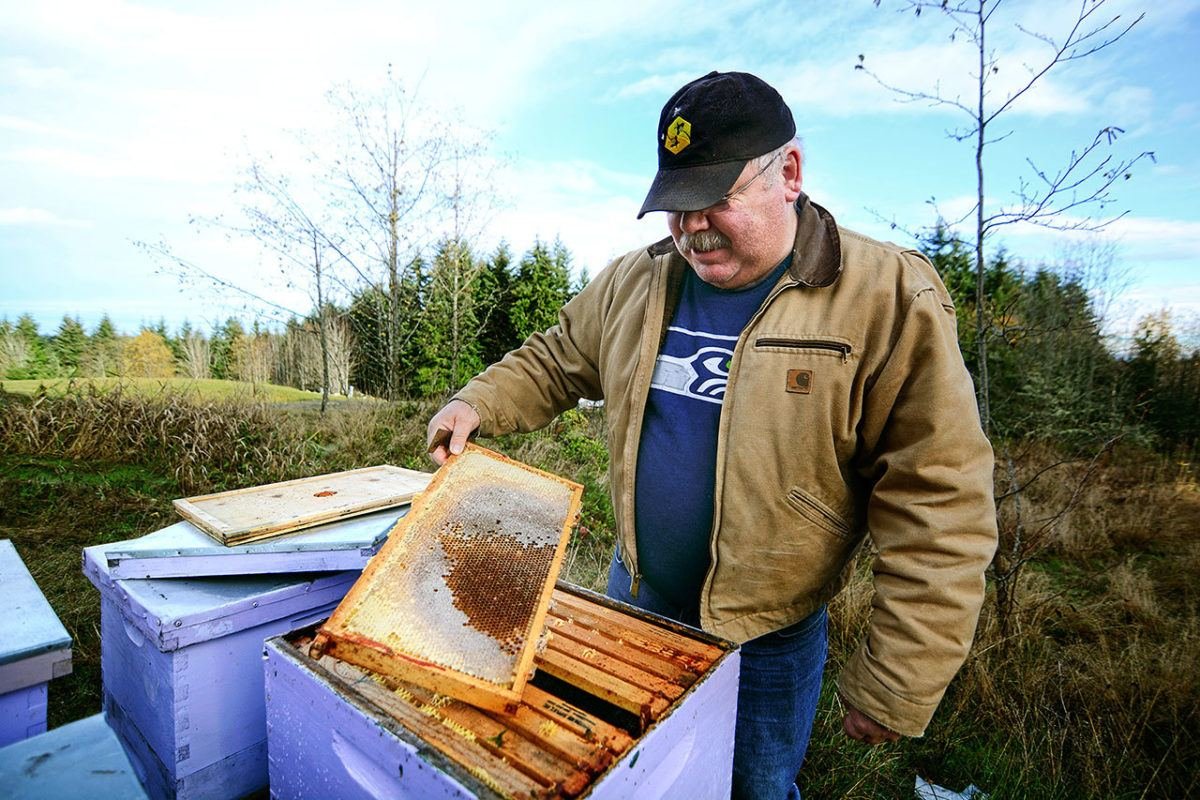 Buddy Depew, co-owner of Sequim Bee Farm