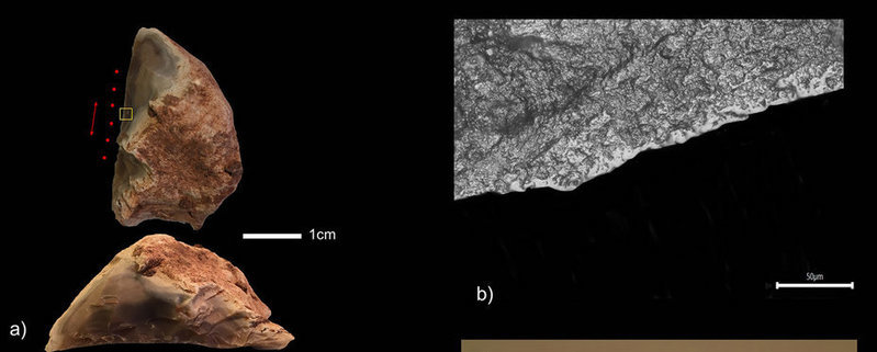 Click to enlarge Early evidence of stone tool use in bone