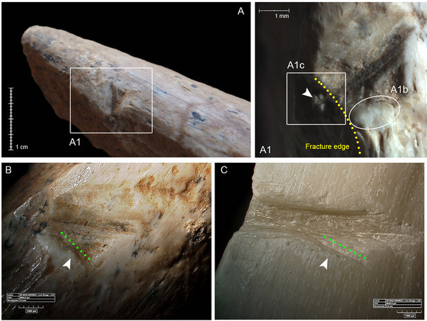 Click to enlarge Early evidence of stone tool use in bone working activities at Qesem Cave