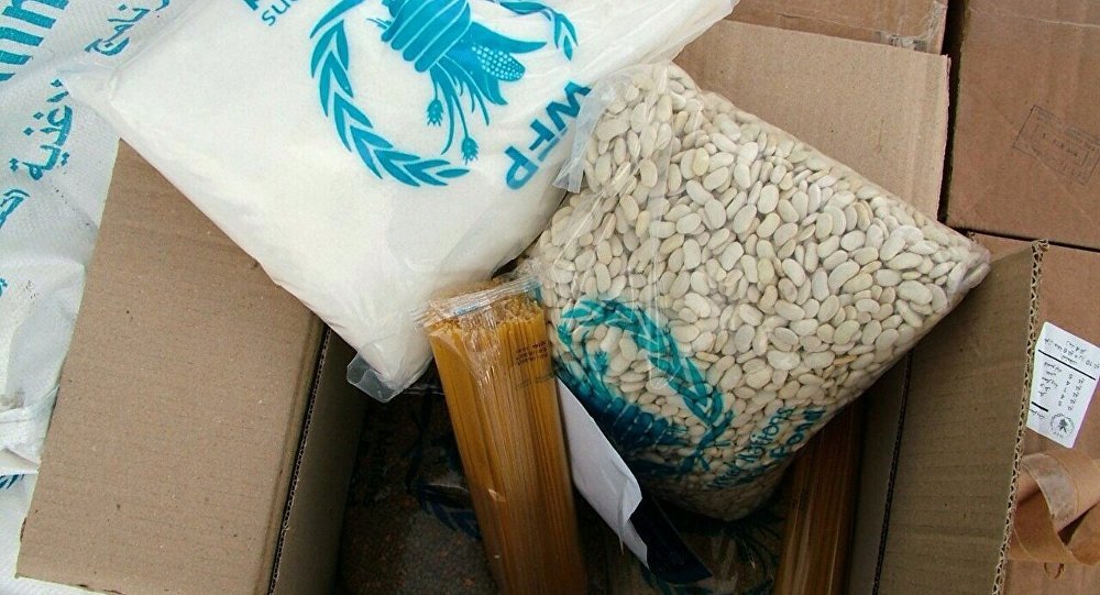 Russian humanitarian aid to Syria