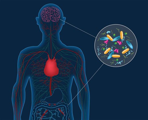 Gut bacteria