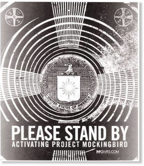 Click to enlarge project mockingbird