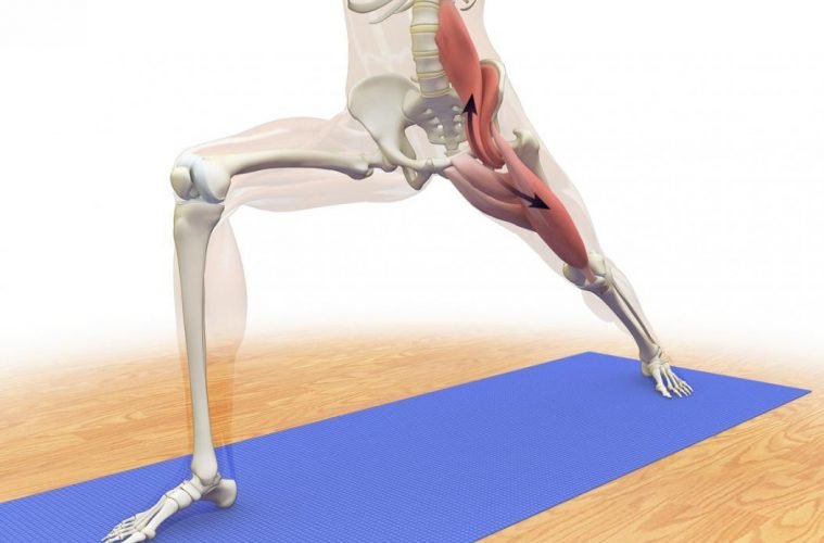 muscle stretching, psoas muscle