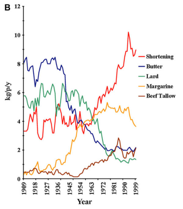 fat consumption america