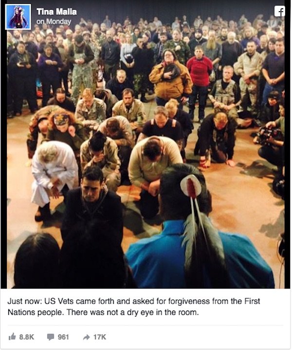 vets apologize
