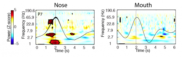 Click to enlarge Brain activity and breathing measurement