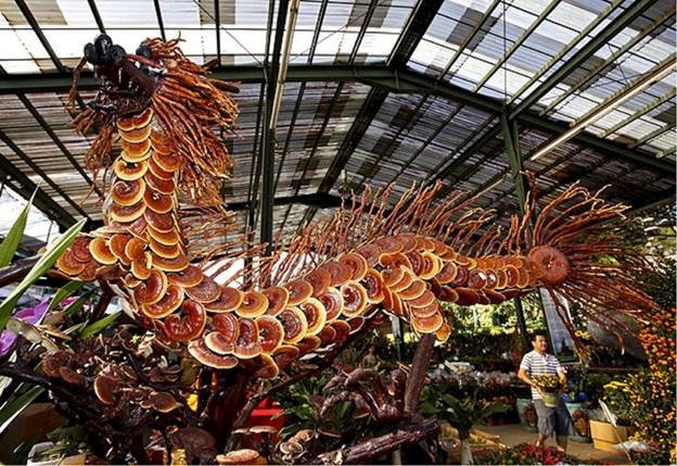 mushroom dragon