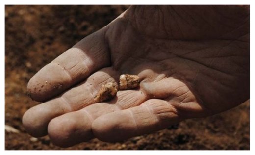 Click to enlarge Ancient human teeth