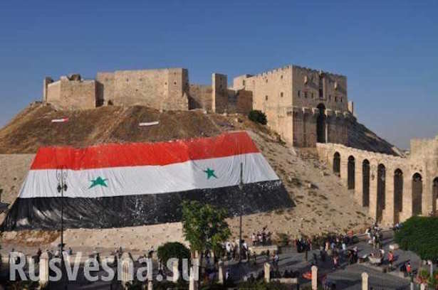 Aleppo citadel Syrian flag