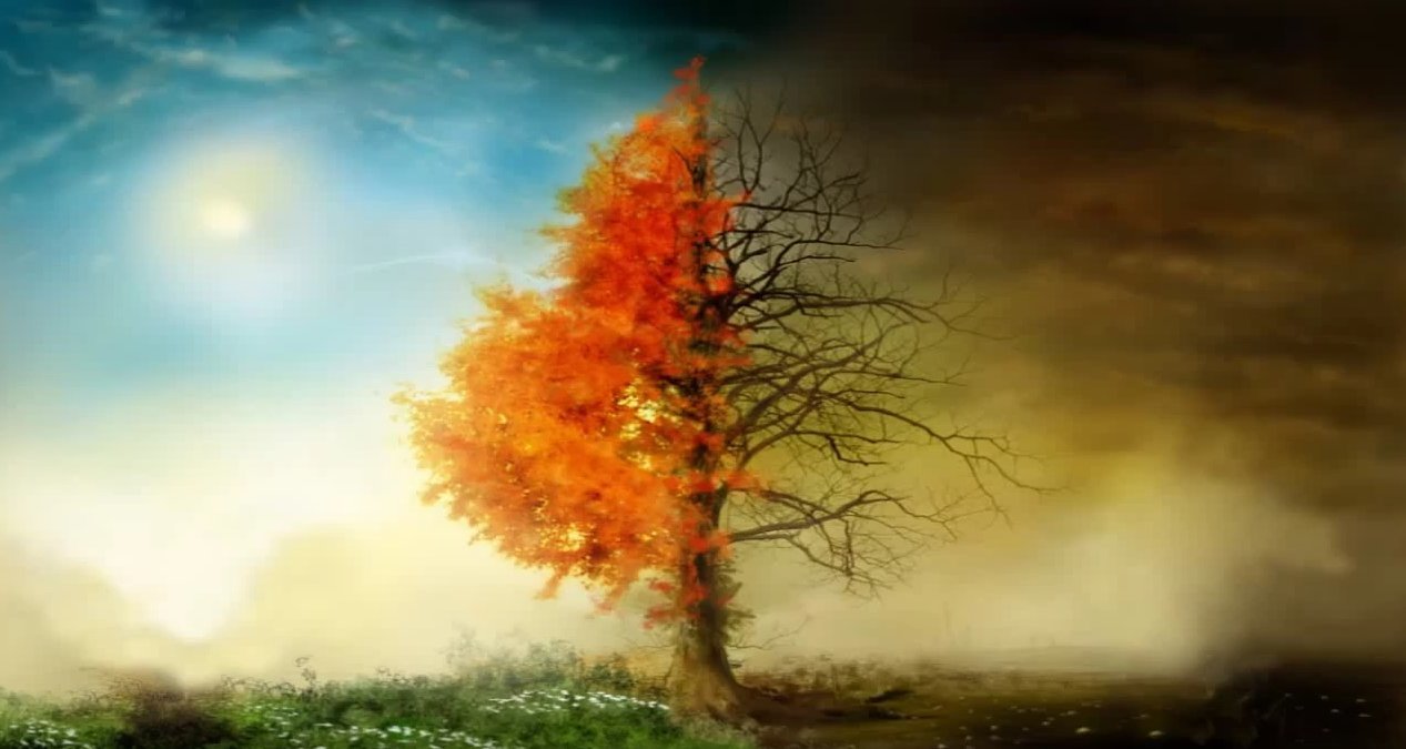 Life and death