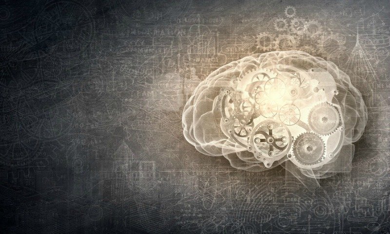 Click to enlarge Human Brain