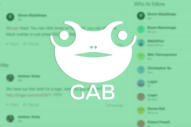 Click to enlarge Gab social media