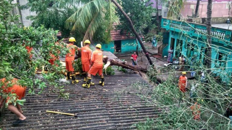 NDRF teams clear up damage after Cyclone Vardah.