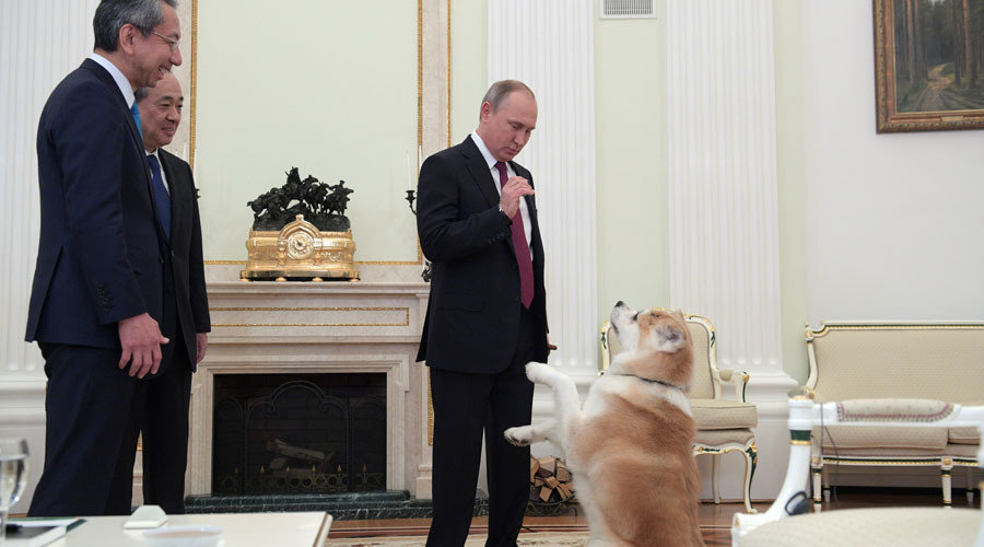 Click to enlarge President Vladimir Putin and his Akita-inu dog Yume