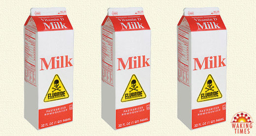 fluoridated milk