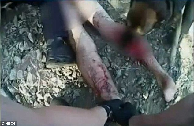 Click to enlarge police dog attack man