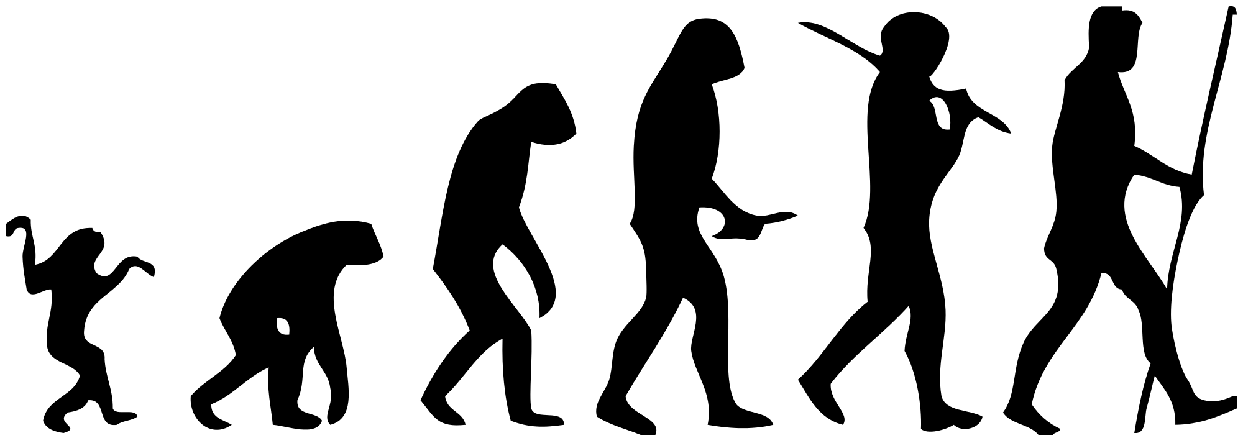 human evolution picture