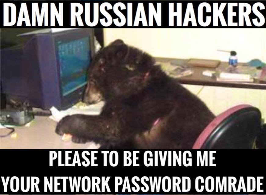Bear on computer