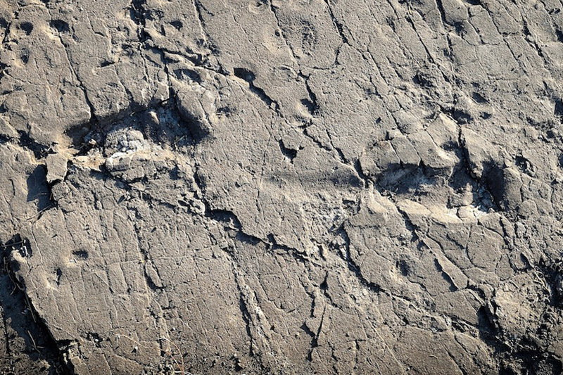 Click to enlarge footprints