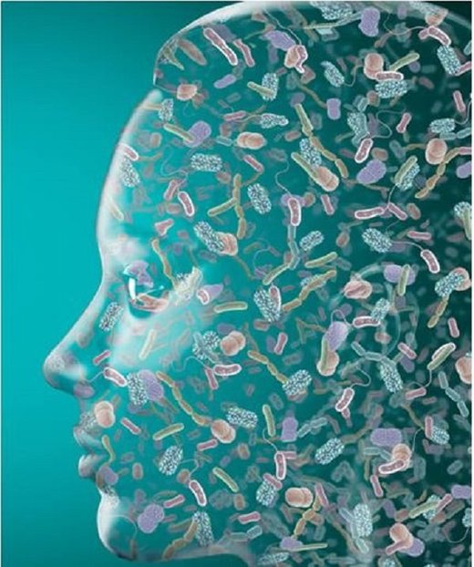 bacteria face