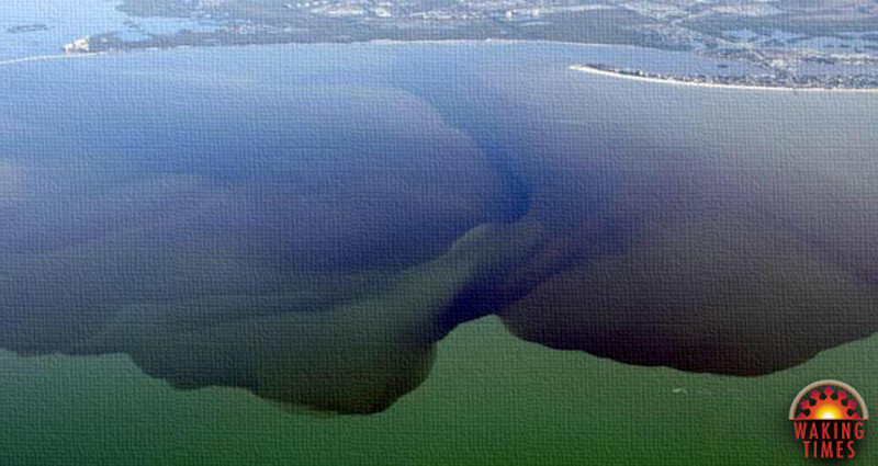 Click to enlarge Toxic water Florida