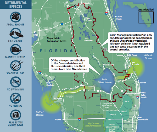 Everglades