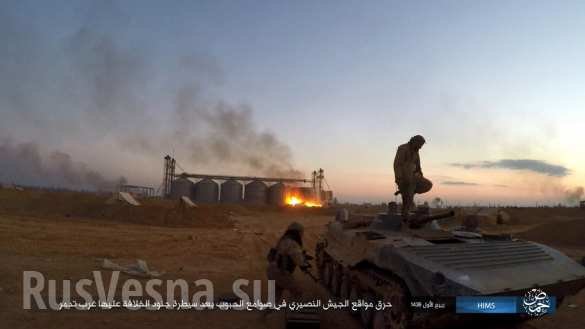 Palmyra