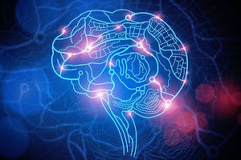 Click to enlarge brain activity
