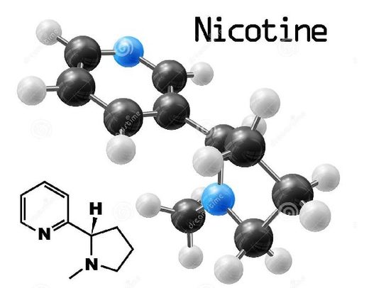 Nicotine molecule