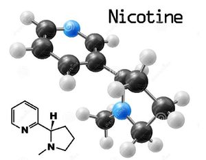 Nicotine molecule