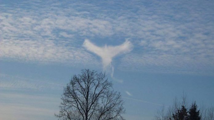 Bird-like cloud over Poland