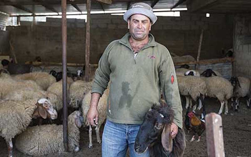 Click to enlarge Mahyoub ‘Ahed ‘Abdallah Shtiyeh
