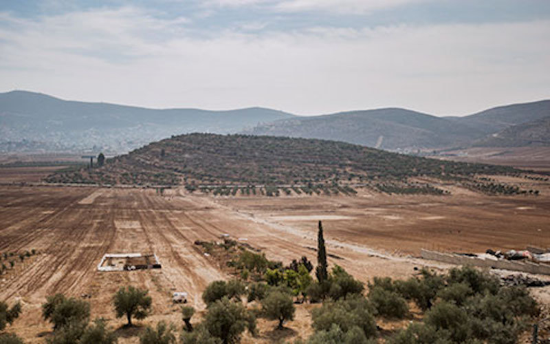 Click to enlarge Olive groves of the village of Salem