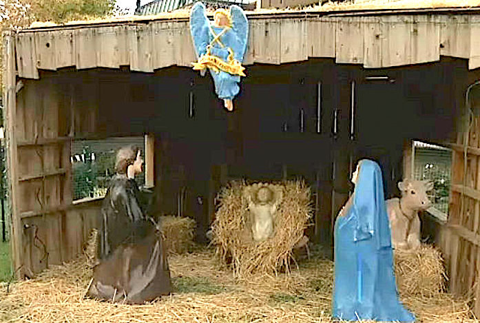 St. Bernard nativity