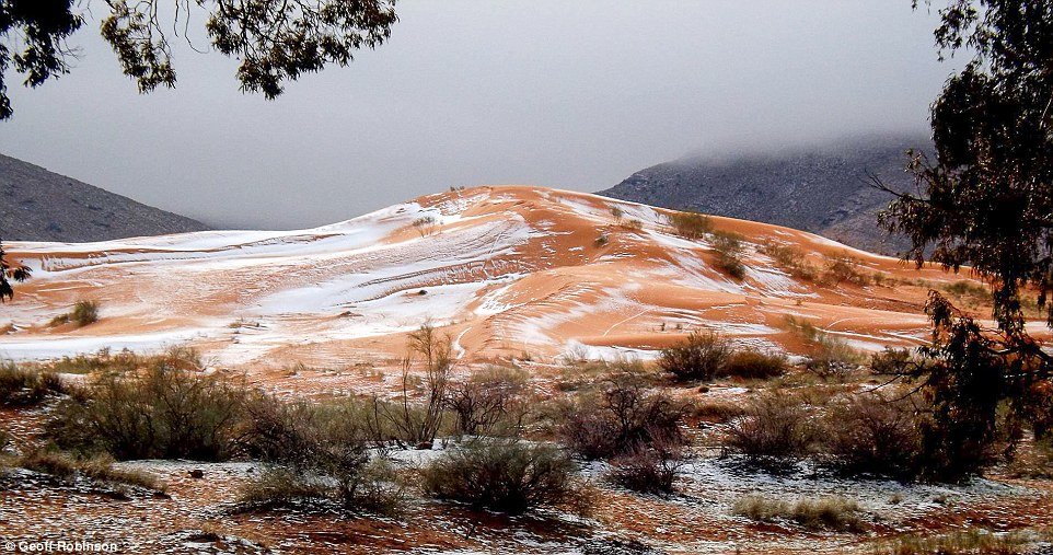 Snow in Algeria