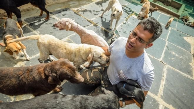 Click to enlarge Man with dogs