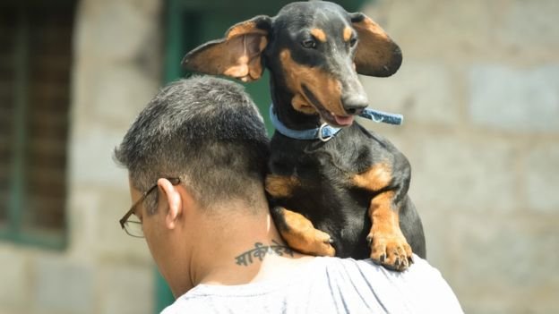 Dog on shoulder
