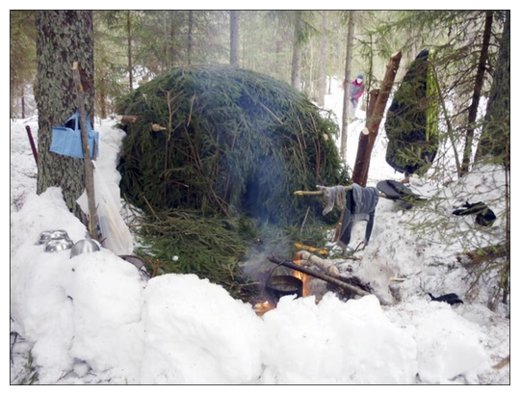 Click to enlarge Survival in the forest