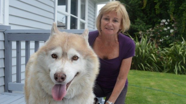 Jude Merwood says she and her Husky Sam were attacked by three cats while walking in Taupo.