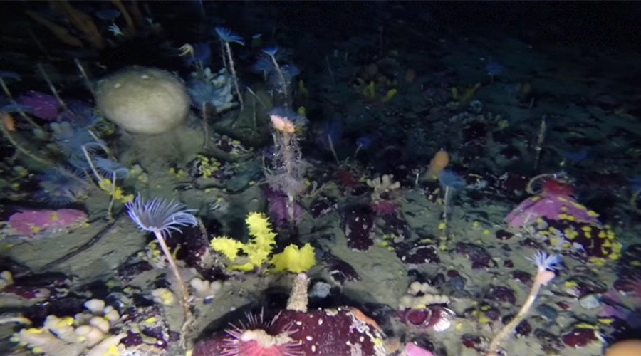 beneath Antarctica's thick ice