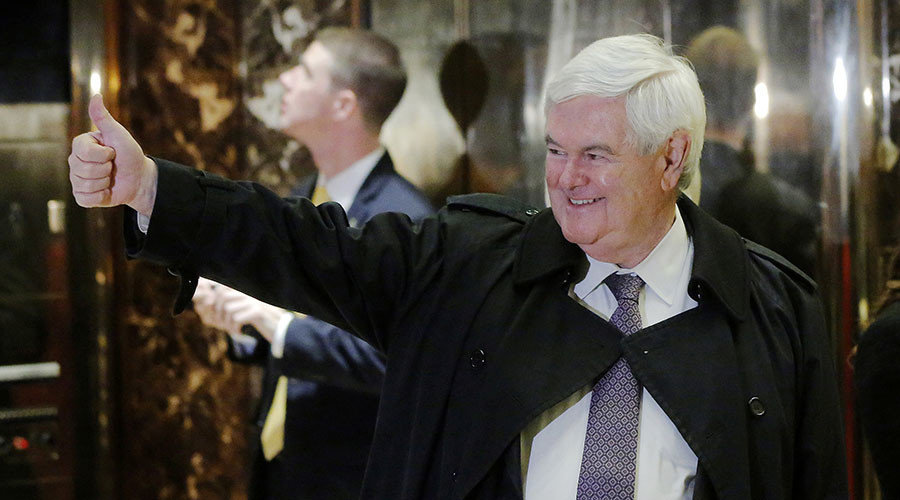Click to enlarge gingrich