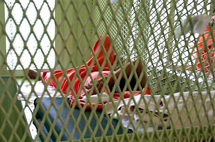 Click to enlarge prisoner